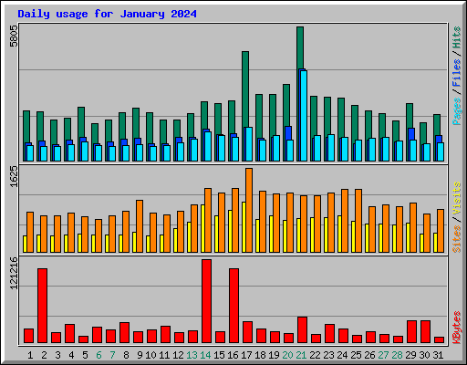 Daily usage for January 2024