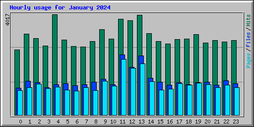 Hourly usage for January 2024