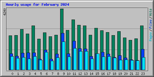 Hourly usage for February 2024