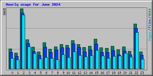 Hourly usage for June 2024