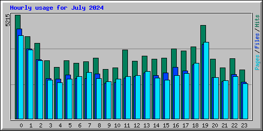 Hourly usage for July 2024