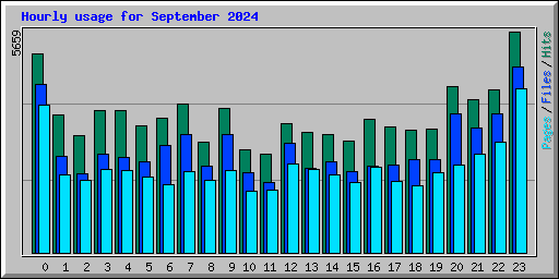 Hourly usage for September 2024