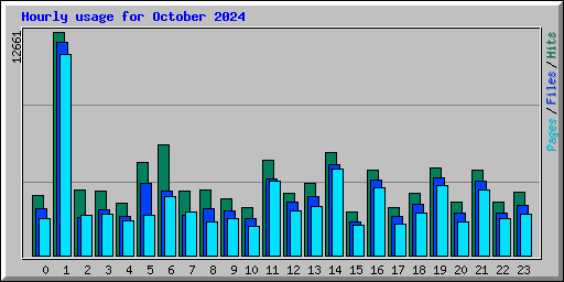 Hourly usage for October 2024