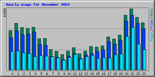 Hourly usage for November 2024