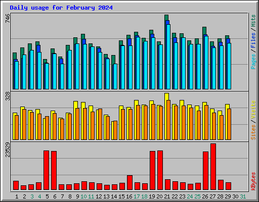 Daily usage for February 2024