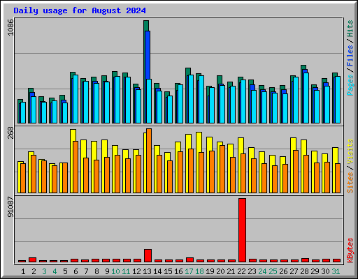 Daily usage for August 2024