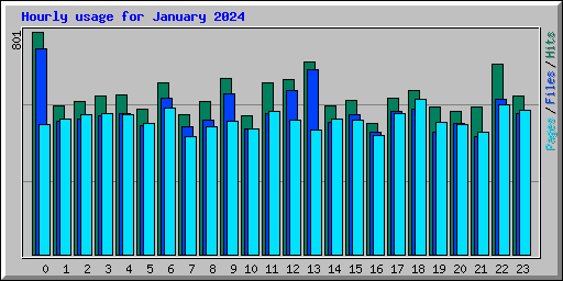 Hourly usage for January 2024