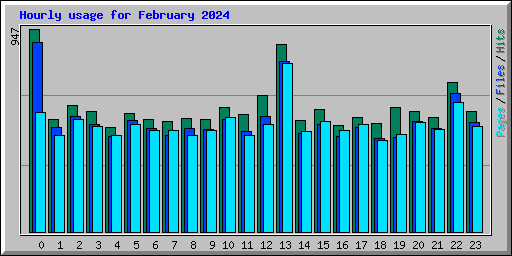 Hourly usage for February 2024