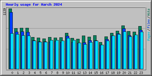 Hourly usage for March 2024