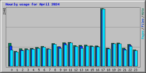 Hourly usage for April 2024