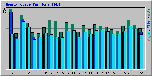 Hourly usage for June 2024