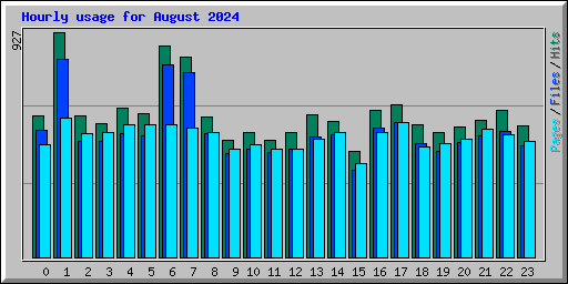 Hourly usage for August 2024