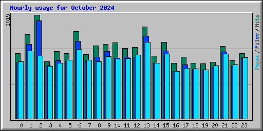 Hourly usage for October 2024