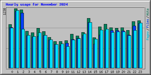 Hourly usage for November 2024