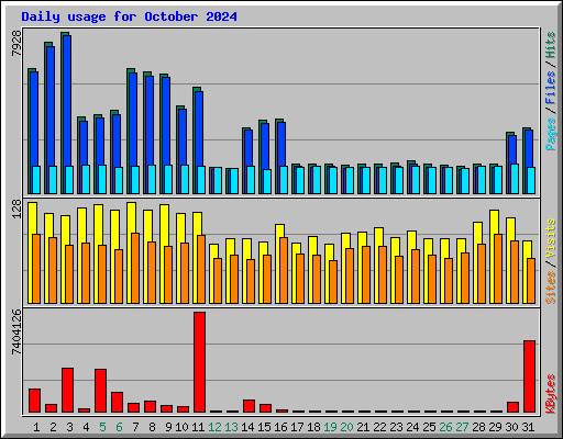 Daily usage for October 2024