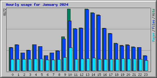 Hourly usage for January 2024