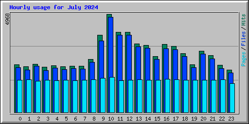 Hourly usage for July 2024