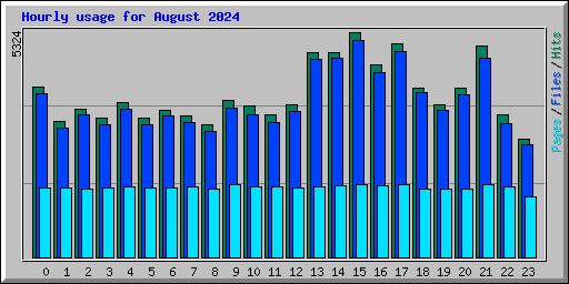 Hourly usage for August 2024