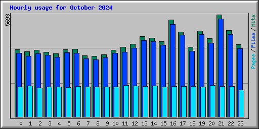 Hourly usage for October 2024